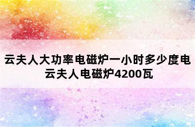 云夫人大功率电磁炉一小时多少度电 云夫人电磁炉4200瓦